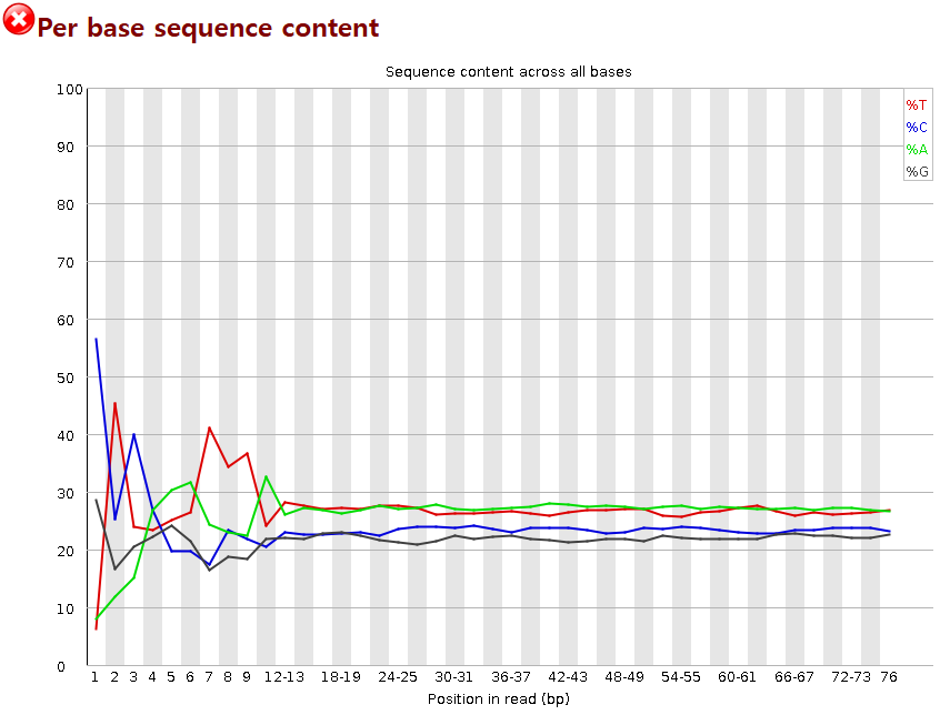 result image